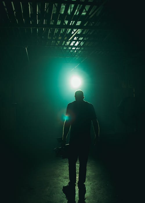 pexels-photo-3379944